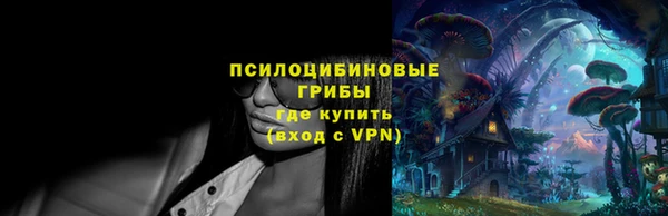 твердый Алексин