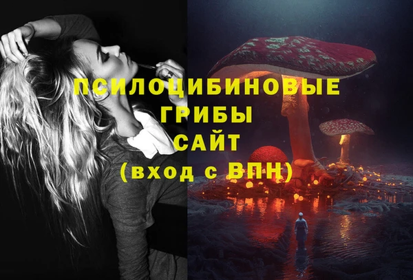 PSILOCYBIN Осташков
