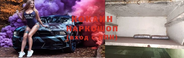 твердый Алексин