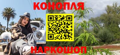 индика Гусиноозёрск