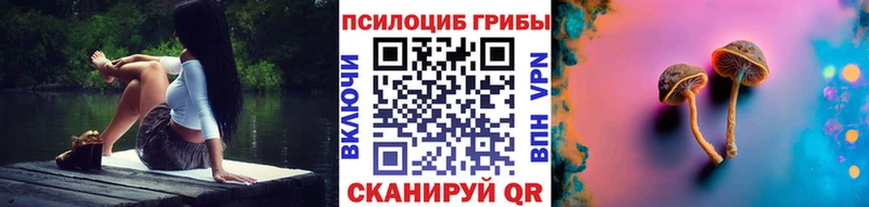 Псилоцибиновые грибы Psilocybe  MEGA ONION  Подольск 