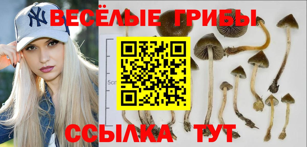 Подольск  Галлюциногенные грибы мухоморы  Вход с VPN 